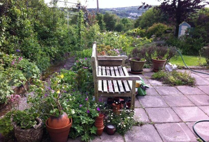 צימר Vine Cottage