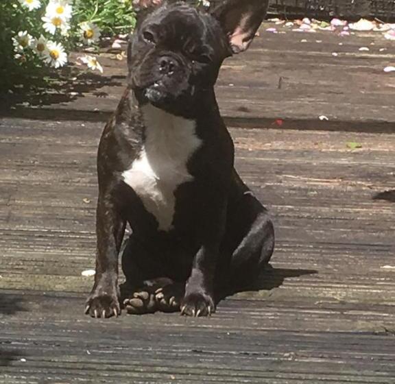 צימר Vine Cottage