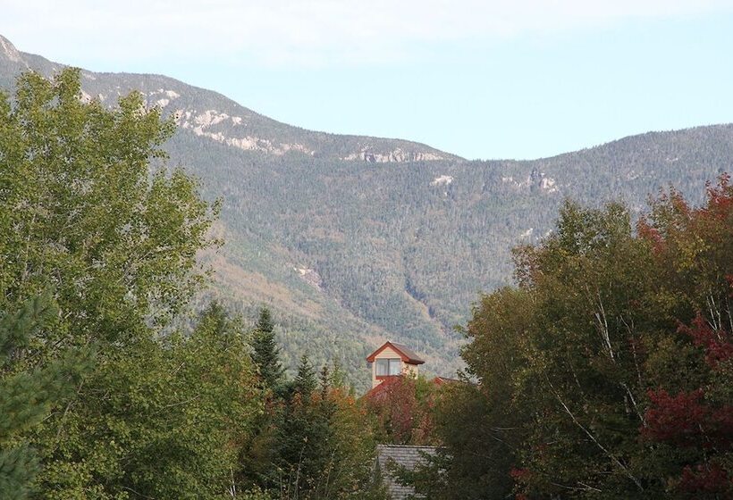 Black Bear Lodge