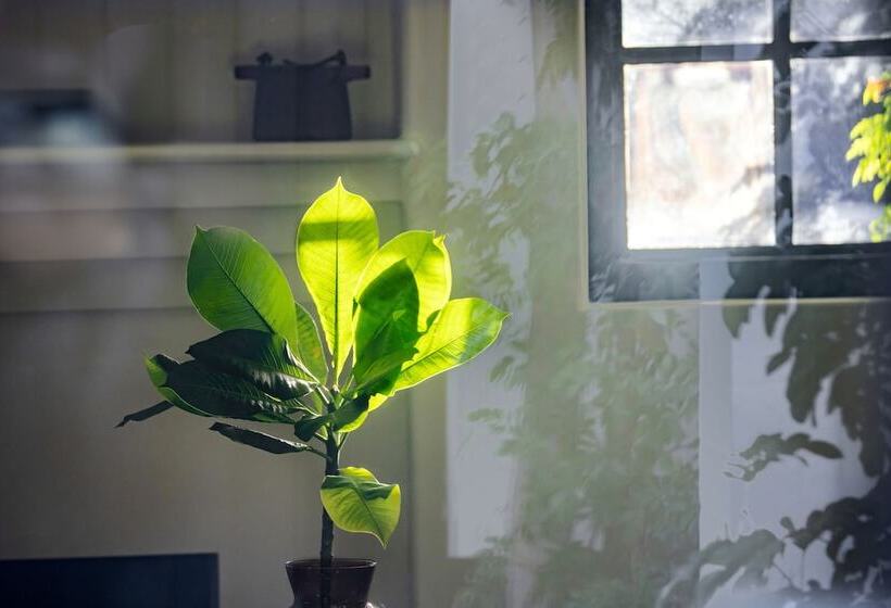 בית מלון כפרי Lucille Palm Springs