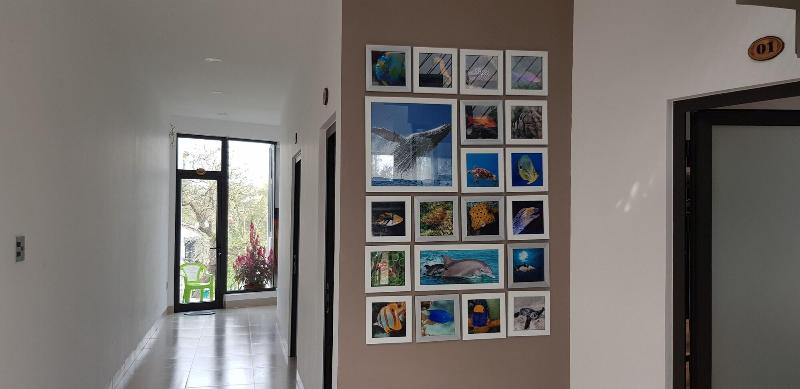 هتل Blue Ocean Homestay