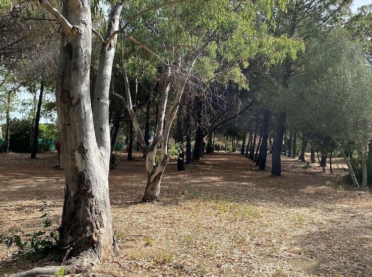 בית מלון כפרי Camping Bella Vista