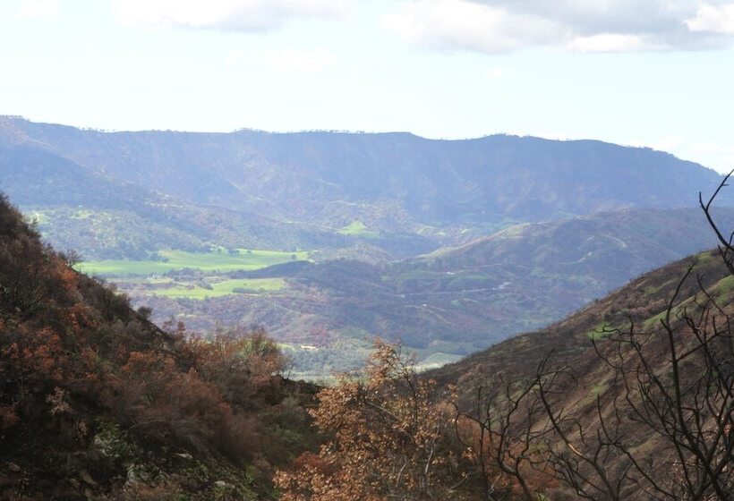 בית מלון כפרי Caravan Outpost