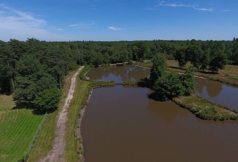 فندق Gites Insolites De Sologne