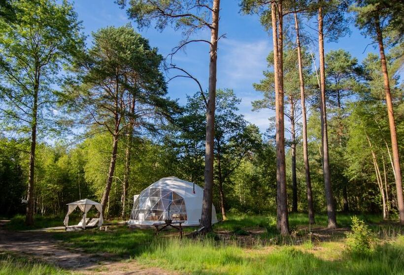 酒店 Gites Insolites De Sologne