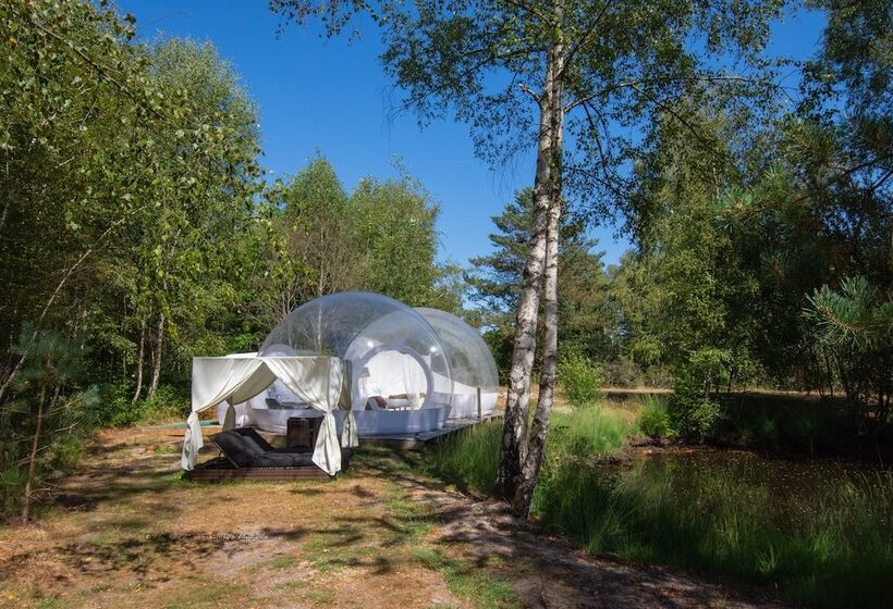 فندق Gites Insolites De Sologne