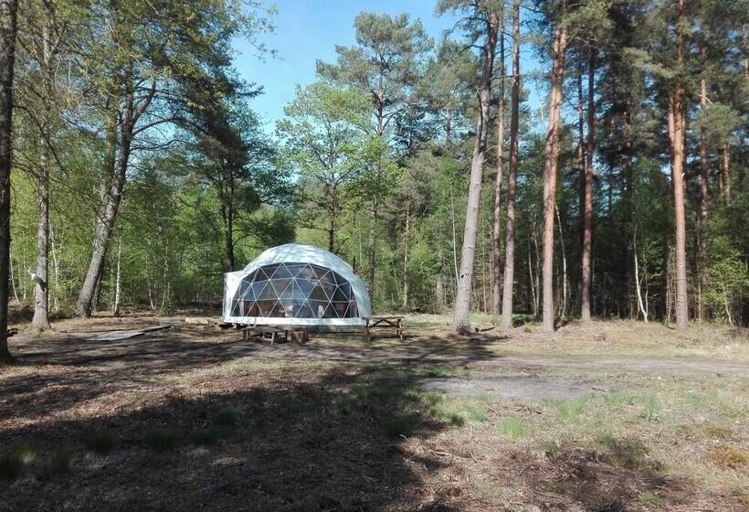 בית מלון כפרי Gites Insolites De Sologne