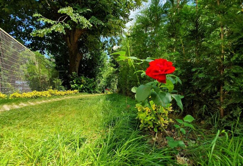 호텔 Kadifeli Konak Boutique