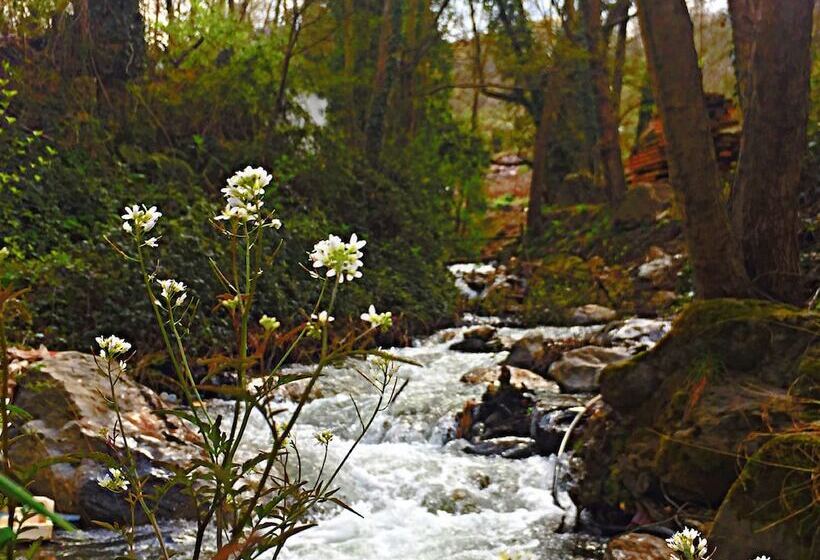בית מלון כפרי Kadifeli Konak Boutique