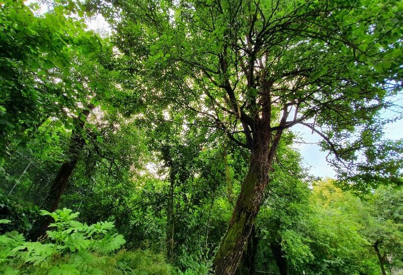 호텔 Kadifeli Konak Boutique