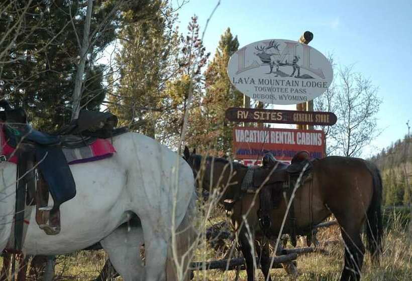 فندق Lava Mountain Lodge