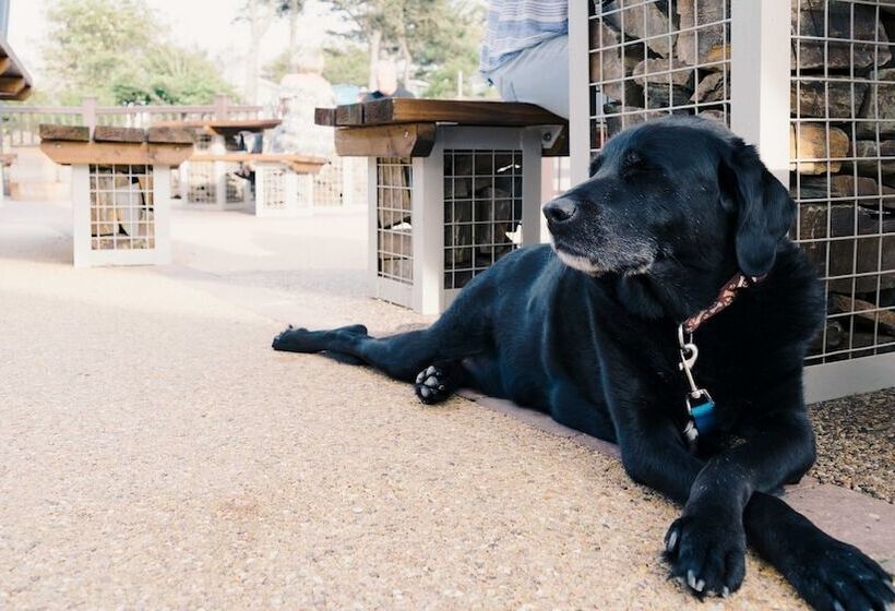 Отель 170 Newquay Bay Resort