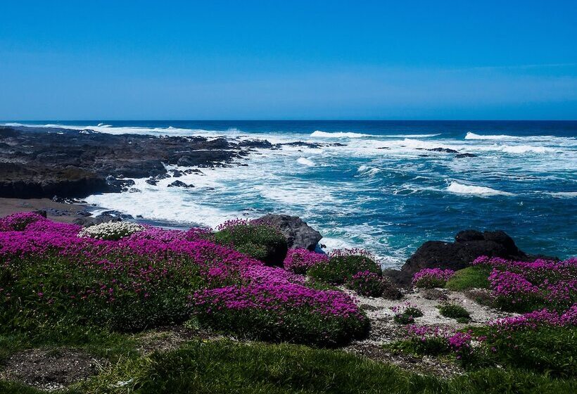 Отель Overleaf Lodge And Spa