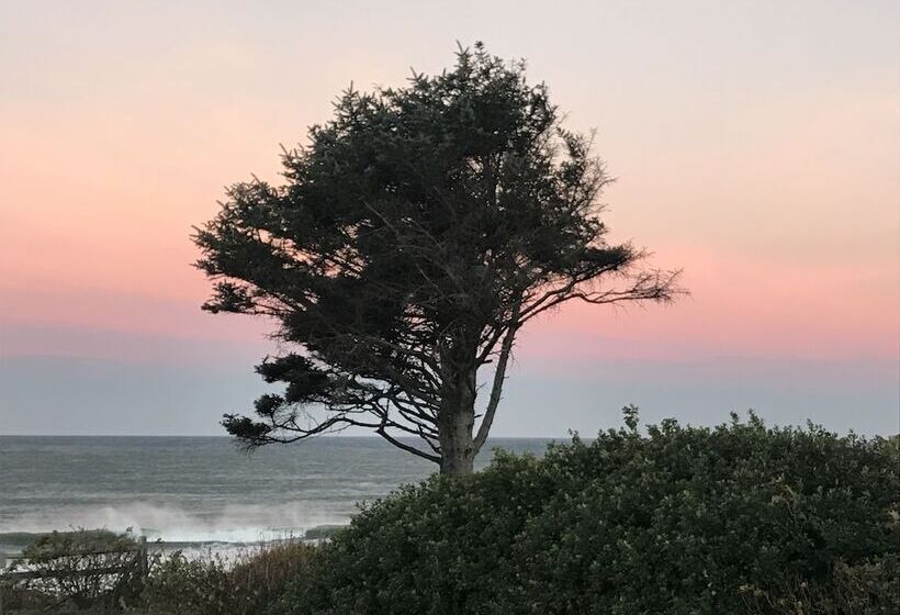 Отель Overleaf Lodge And Spa