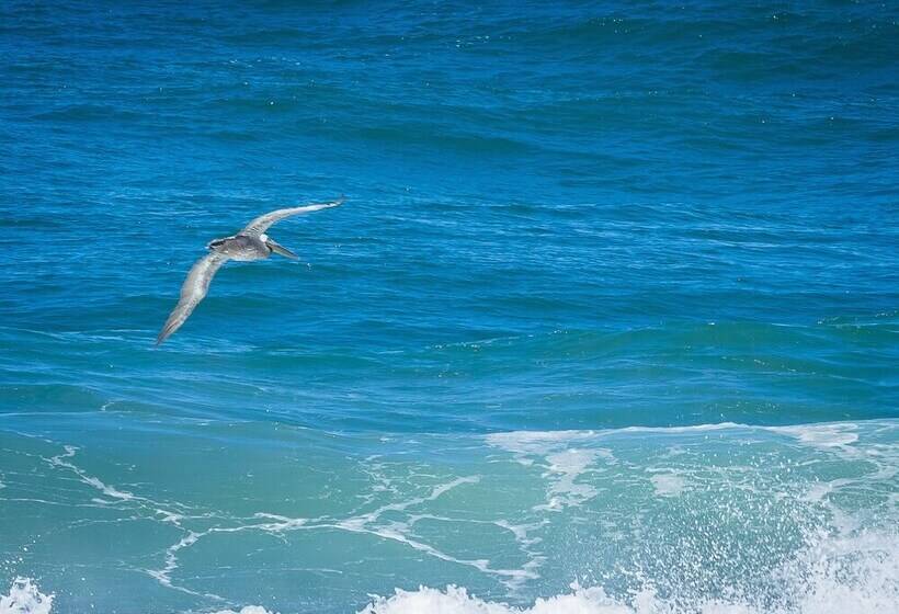 호텔 Overleaf Lodge And Spa