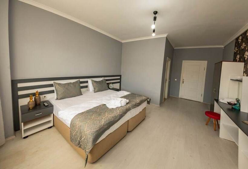 هتل Ozel Amasya Konukevi