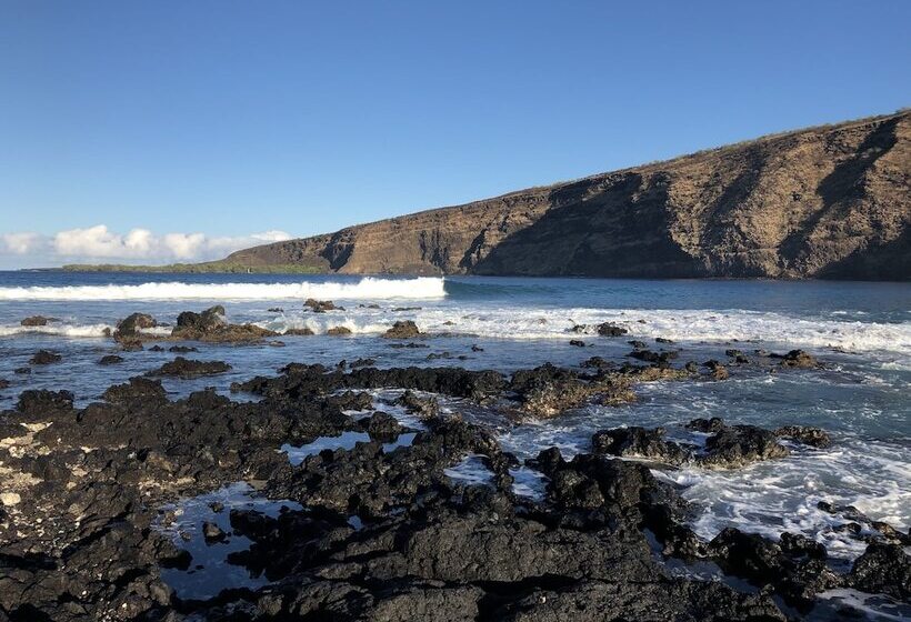 Сельский отель Gingerhill Farm Retreat