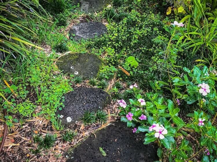 Сельский отель Gingerhill Farm Retreat