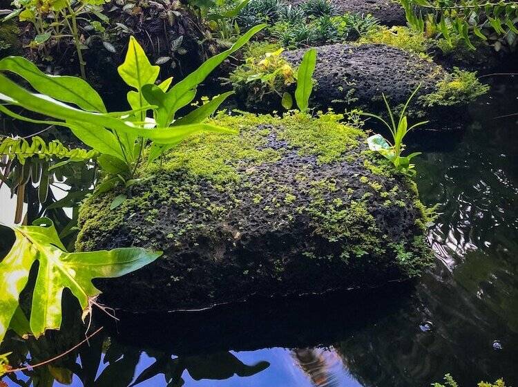 Сельский отель Gingerhill Farm Retreat