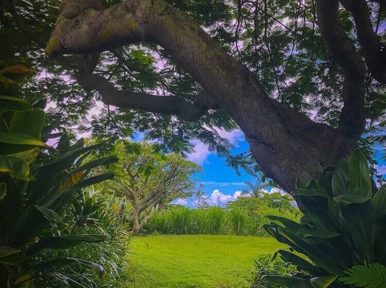 Сельский отель Gingerhill Farm Retreat