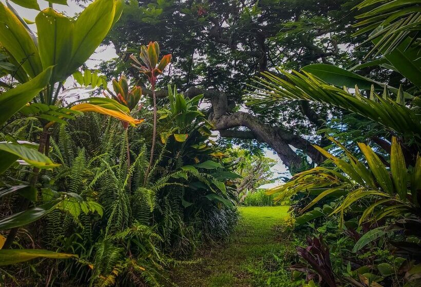 Сельский отель Gingerhill Farm Retreat