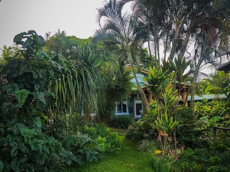 Сельский отель Gingerhill Farm Retreat