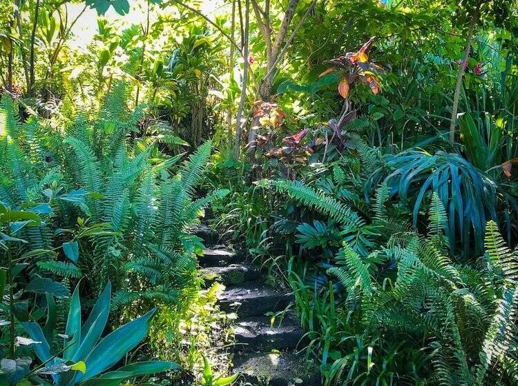 Сельский отель Gingerhill Farm Retreat