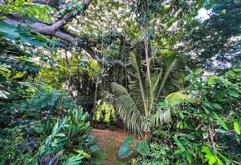 Сельский отель Gingerhill Farm Retreat