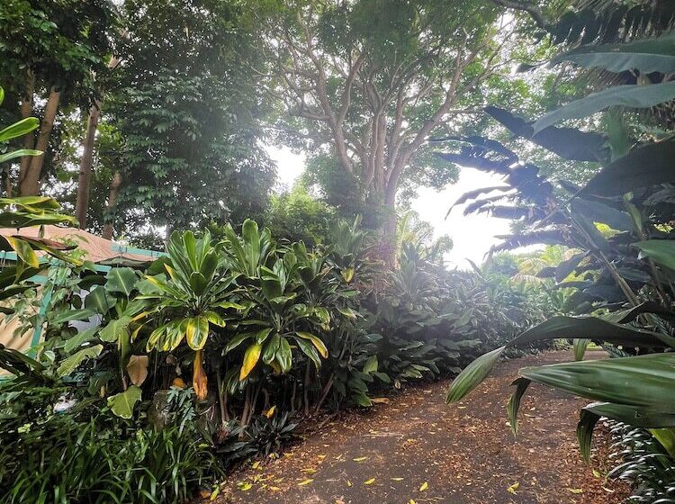 Сельский отель Gingerhill Farm Retreat