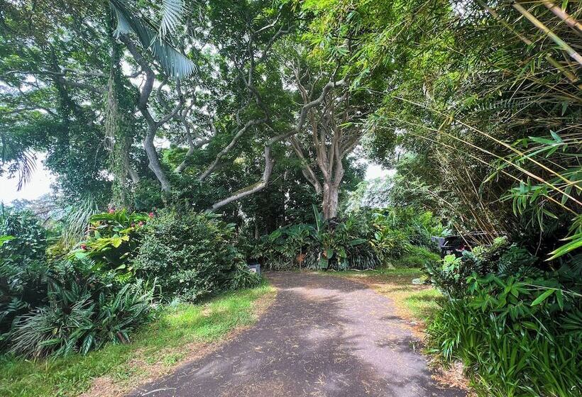 Сельский отель Gingerhill Farm Retreat