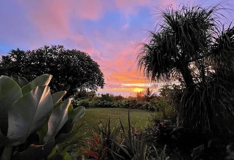 Сельский отель Gingerhill Farm Retreat