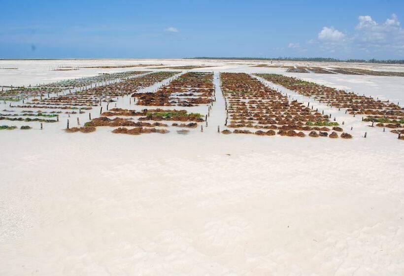 בית מלון כפרי Seasons Lodge Zanzibar