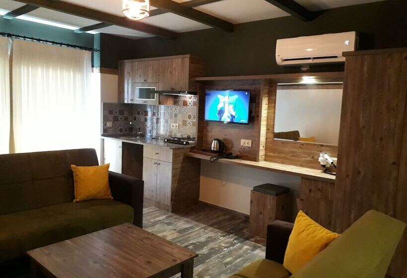 هتل The Sarigerme Inn