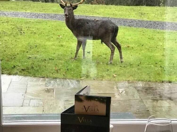 בית מלון כפרי The Villa Levens