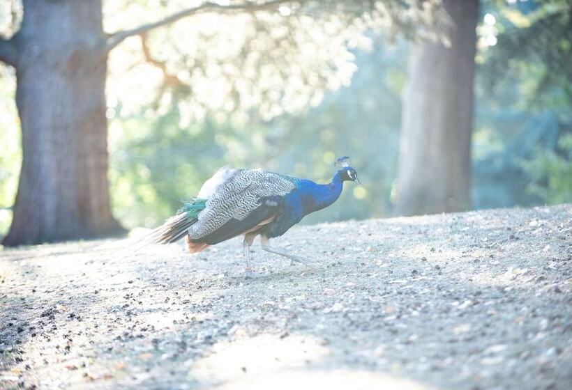 Warwick Castle Hotel And Knight S Village