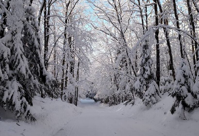 Lakewoods Resort & Lodge