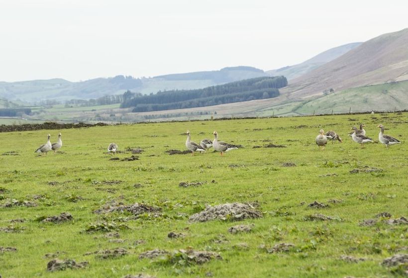 Merrybent Hill Luxury B&b