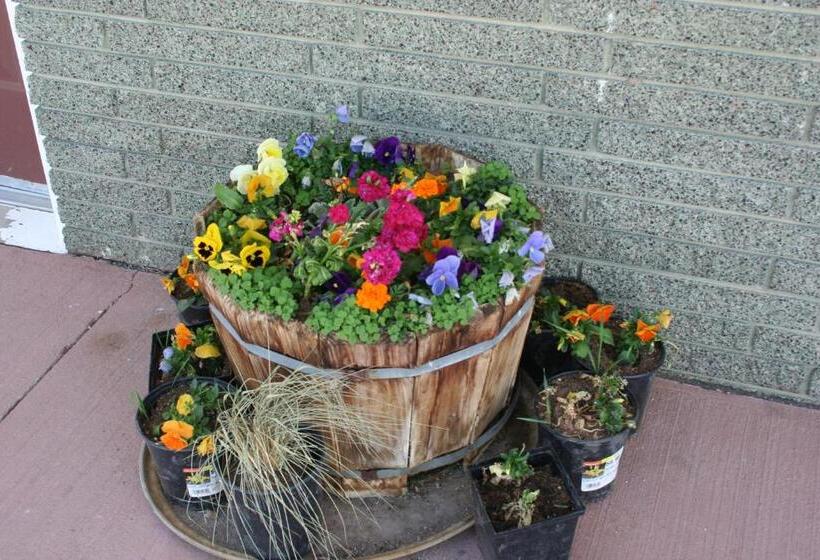 فندق على الطريق Bryce Zion Inn