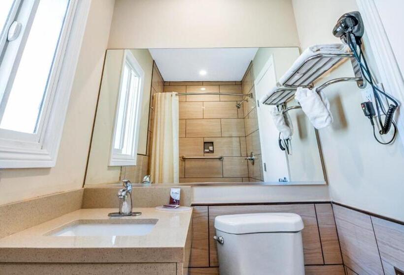 فندق على الطريق Sea Rock Inn  Long Beach