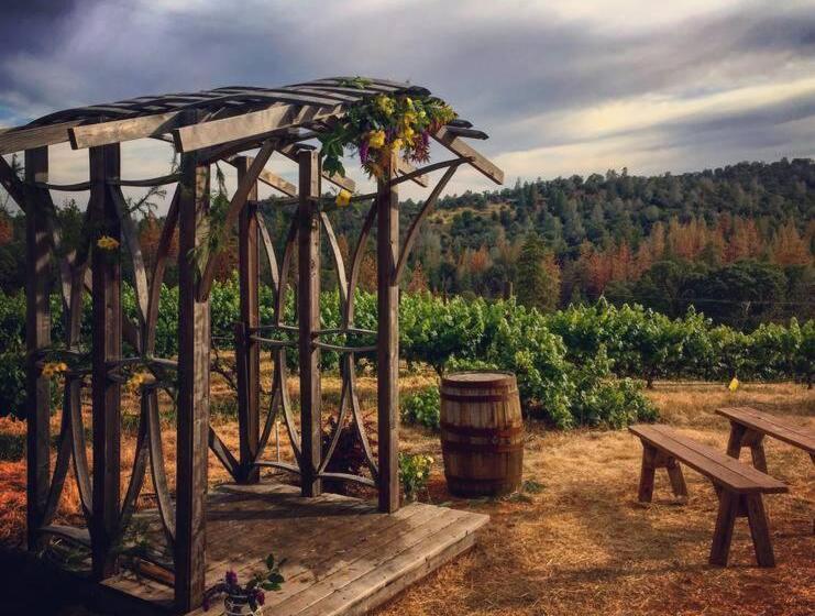 Papillon Cellars   The Loft