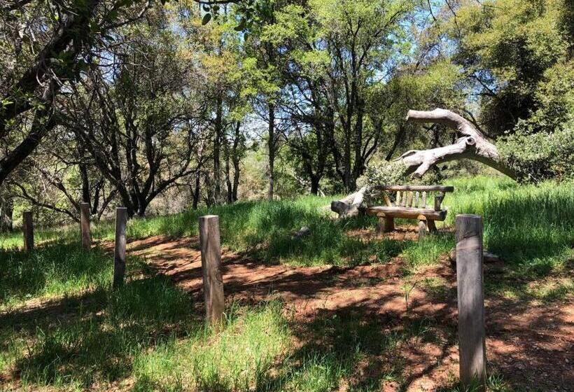 Papillon Cellars   The Loft