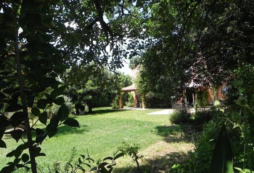 膳宿费 B&b Le Clos Des Vignes Saint Raphael