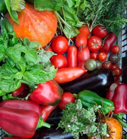 ペンション Le Rêve D Aghon Chambres Et Table D Hôtes