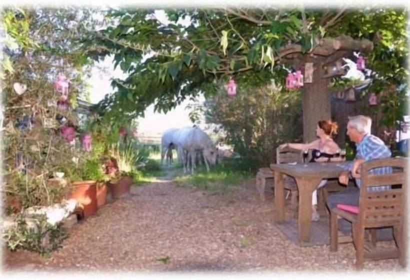 פנסיון Mazet Du Maréchal Ferrant