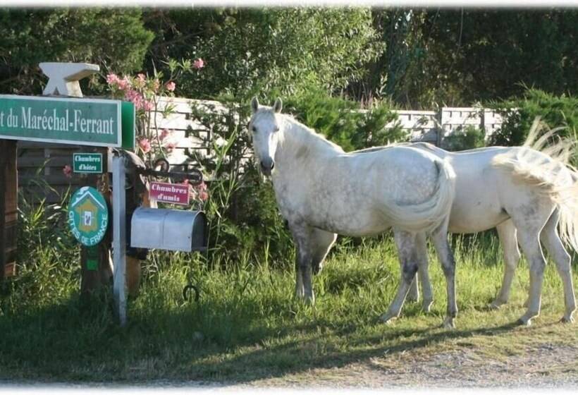 פנסיון Mazet Du Maréchal Ferrant