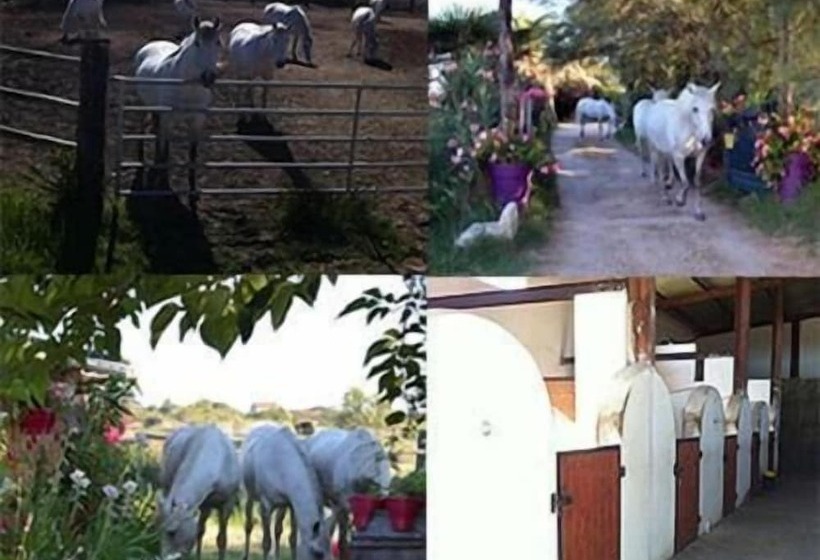 פנסיון Mazet Du Maréchal Ferrant