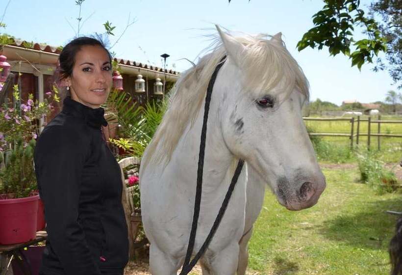 פנסיון Mazet Du Maréchal Ferrant