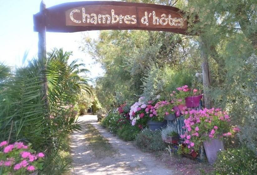 פנסיון Mazet Du Maréchal Ferrant