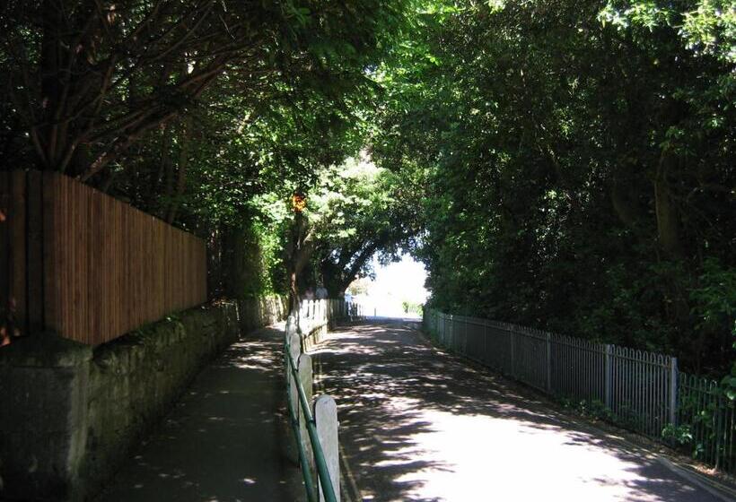 펜션 The Snowdon House