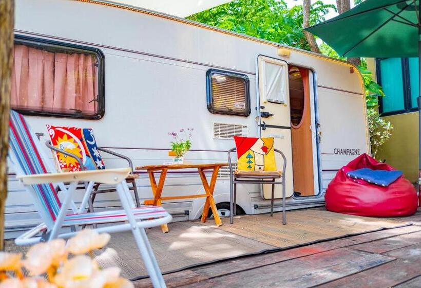 T Rex Buriram Boutique Hotel New Hotel In Buriram